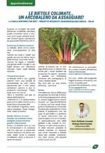 Articolo 1 Dott. Raffaele Cicorella - Biologo Nutrizionista